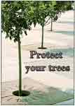Protect Your Trees