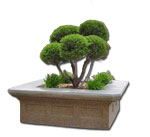 Victorian Planter Concrete 73x24